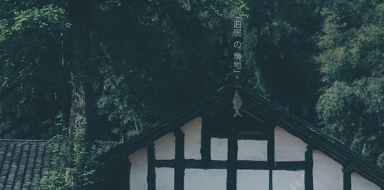 史上最贱小游戏之网络
